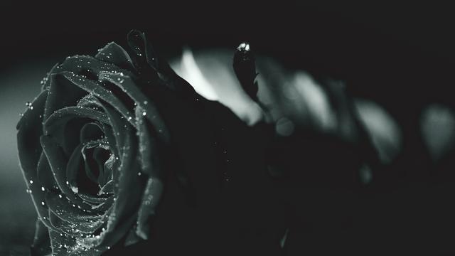 7 Arti Mimpi Tentang Bunga, Punya Makna Menakjubkan