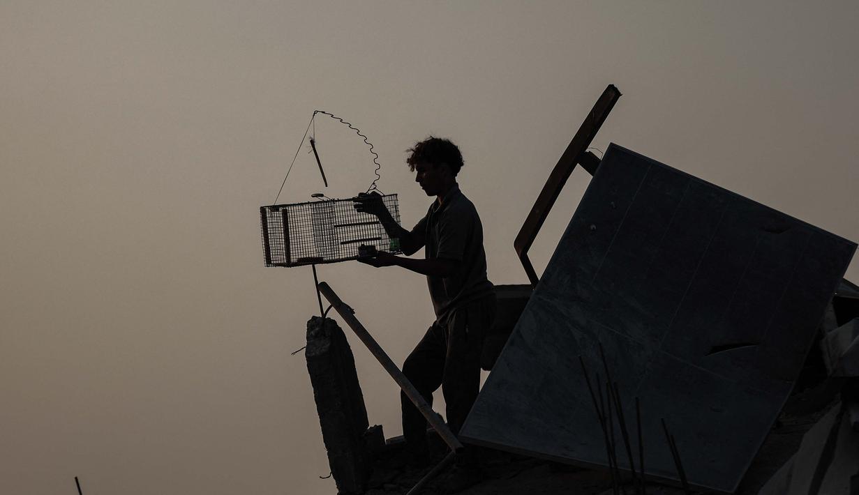 Sejumlah lembaga kemanusiaan masih berjuang di tengah pembatasan akses bantuan oleh Israel. Tampak dalam foto, seorang pria Palestina memasang perangkap burung di puing-puing bangunan di Jabalia, di bagian utara Jalur Gaza, pada Jumat 7 November 2025. (Omar AL-QATTAA/AFP)