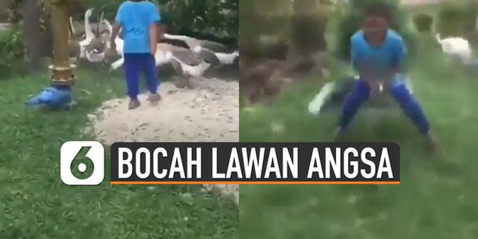 VIDEO: Kocak, Aksi Bocah Lawan Angsa