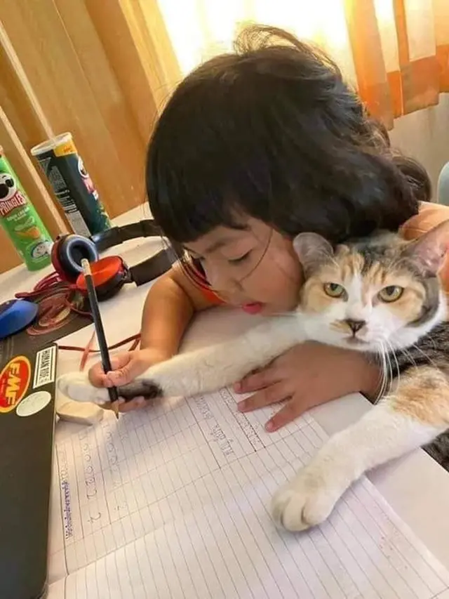 6 Potret Nyeleneh Anak Belajar Bareng Kucing Ini Bikin Geleng Kepala