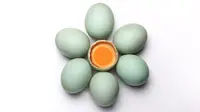 Ilustrasi telur bebek | ge yonk dari Pexels