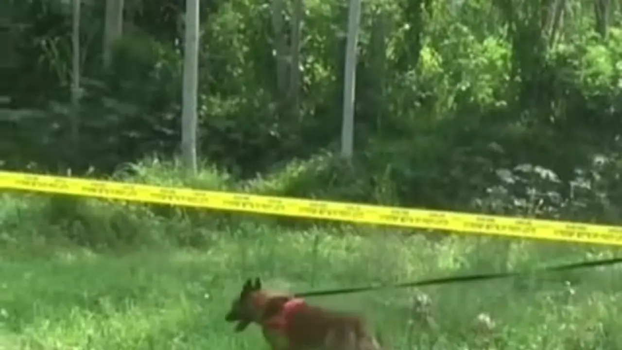 Anjing pelajak atau unit K9 diterjunkan Polresta Banyuwangi di lokasi kejadian pembunuhan CN 7  tahun untuk mencari barang bukti lainya di TKP (Istimewa)