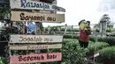 Warga melakukan perawatan taman sayur di kolong flyover Cipinang, Jakarta, Senin (1/2/2021). Selain sayur seperti sawi dan kangkung, taman ini juga dilengkapi kolam ikan yang hasil panennya untuk dikonsumsi oleh warga sebagai program ketahanan pangan. (merdeka.com/Iqbal S. Nugroho)