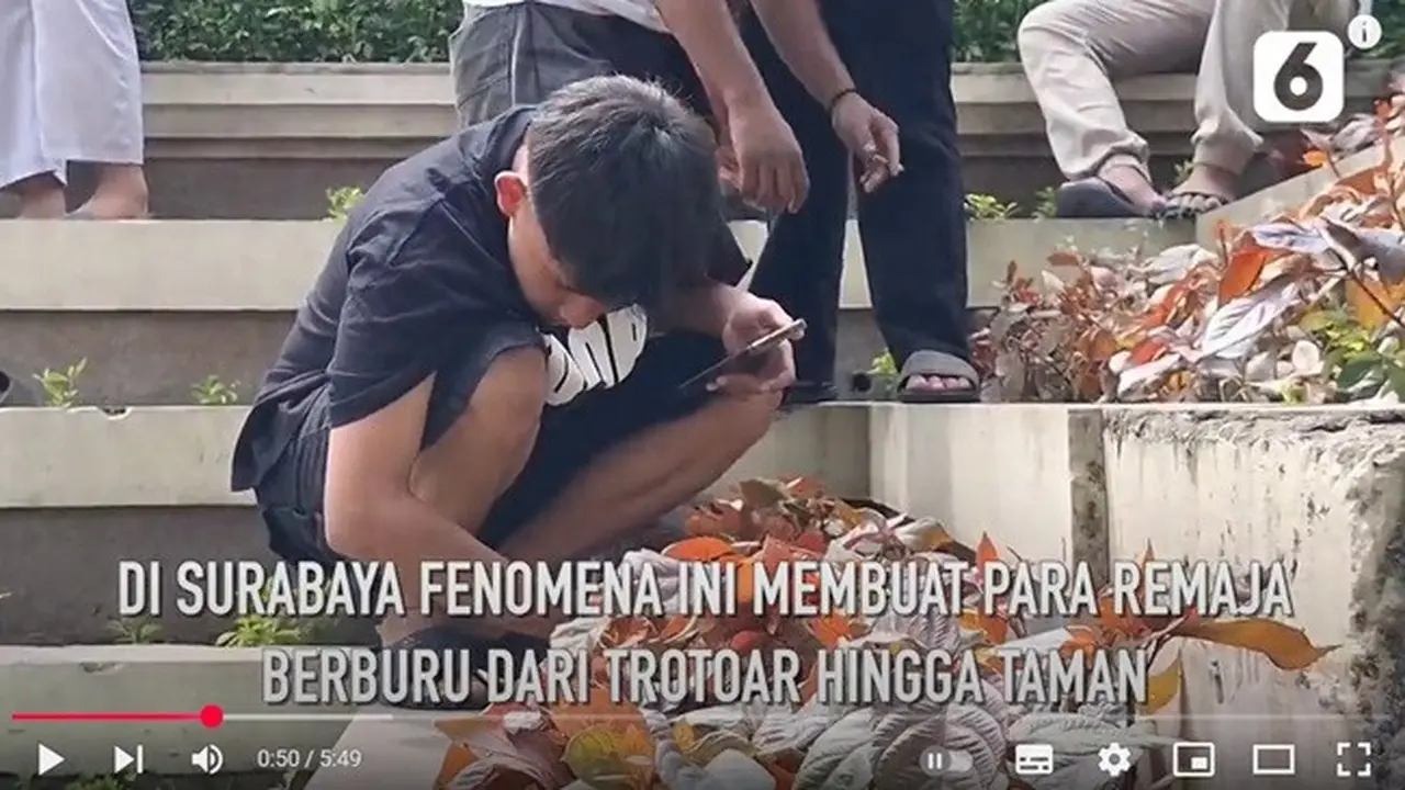 Viral masyarakat yang berburu koin jagat hingga merusak sejumlah fasilitas umum (fasum). (YouTube Liputan6)