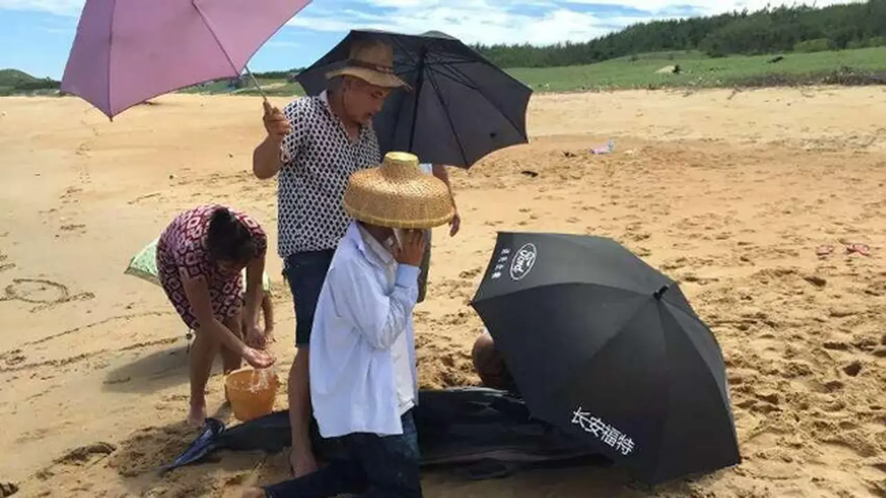 Foto Warga Selamatkan Lumba-Lumba Terdampar dengan Payung & Ember
