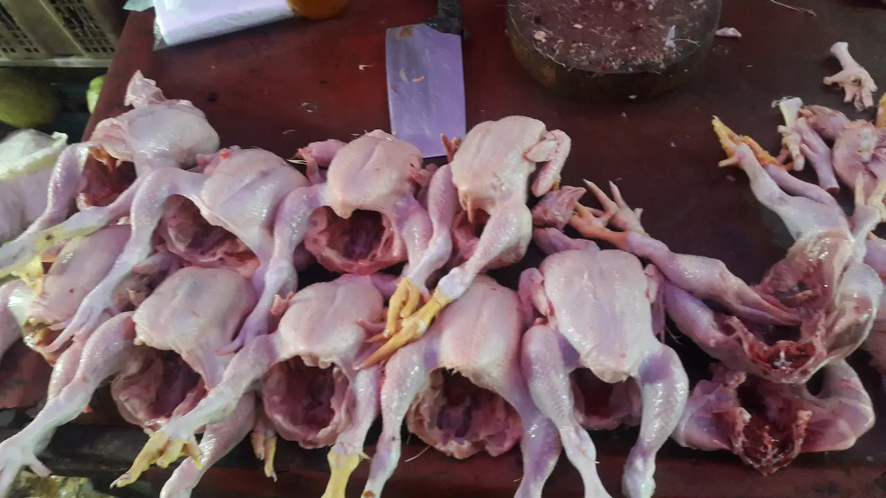 daging ayam