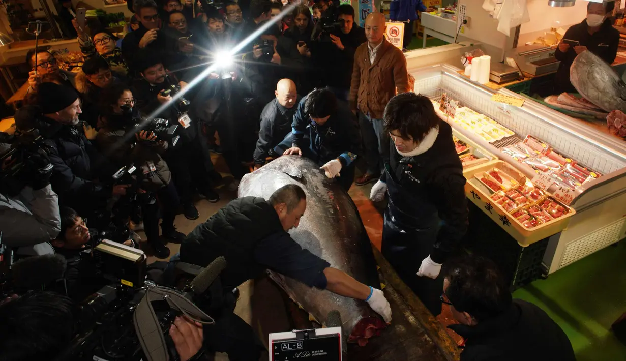 Pekerja pedagang grosir Yamayuki memotong tuna sirip biru seberat 405 kilogram yang mereka jadikan tawaran kemenangan pada pelelangan pertama tahun ini, di dekat pasar ikan Tsukiji di Tokyo, Jepang (5/1). (AP Photo / Eugene Hoshiko)