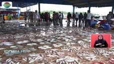 Di tempat pelelangan ada empat juru lelang yang bertugas setiap hari. Masing-masing memiliki waktu selama setengah jam untuk melelang ikan.