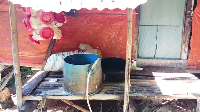 Peternakan Ayam