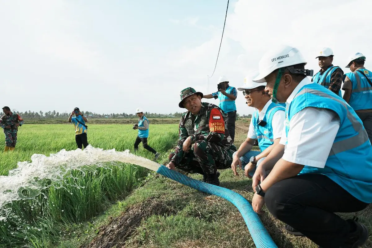 PT PLN (Persero) siap mendukung program ketahanan dan kedaulatan pangan nasional dengan menyuplai listrik untuk lahan percontohan di kawasan Food Estate