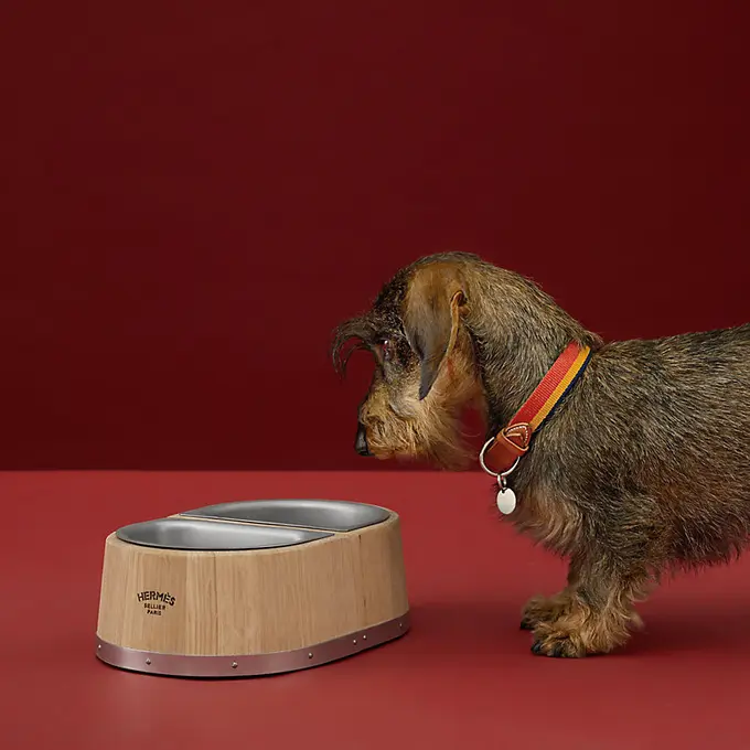 Hermes Bikin Mangkuk Makanan Anjing Mewah Seharga Rp18 Juta, Mau Beli?