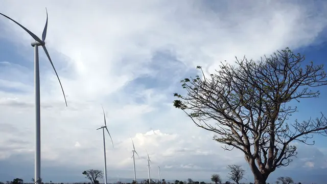 Pembangkit Listrik Tenaga Bayu (PLTB) Tanah Laut, Kalimantan Selatan, berkapasitas 70 MW.