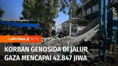 Kekejaman zionis Israel di Jalur Gaza terus terjadi, baru-baru ini serangan udara Israel menyasar sebuah sekolah tempat penampungan pengungsi, sebanyak 17 orang yang mayoritas adalah perempuan dan anak-anak tewas. Selain itu, Israel juga terus menyer...