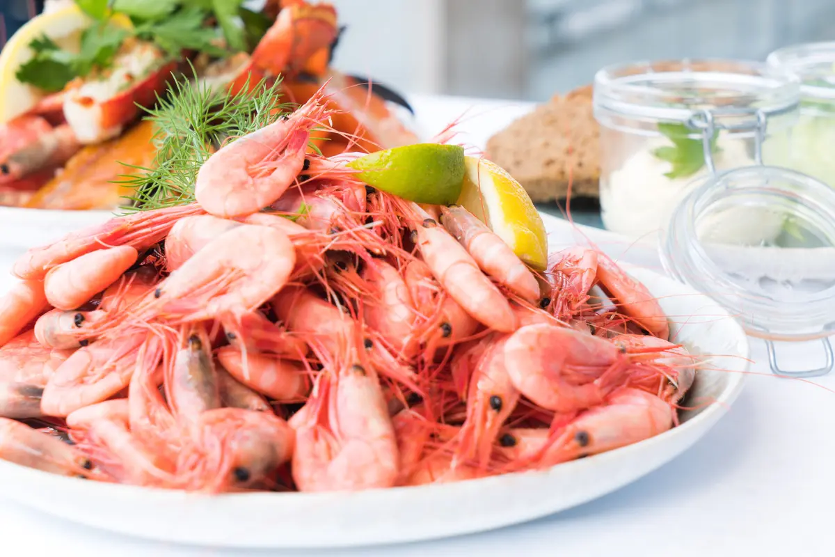 Udang