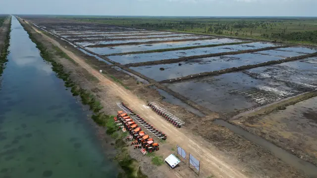 Menuju Pangan Berkelanjutan! Ombudsman Dorong Cetak Sawah dengan Penguatan Irigasi