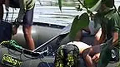 liputan6