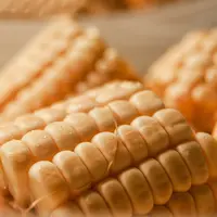 Ilustrasi jagung (Foto: Unsplash.com/ Well Cabral)