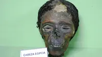 Mumi Mesir Kuno (Museo de Antropología Médica, Forense, Paleopatología y Criminalística, Profesor Reverte Coma)
