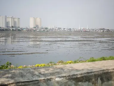 Kondisi waduk Pluit yang mengalami pendangkalan di wilayah Penjaringan, Jakarta Utara, Sabtu (8/6/2019). Endapan lumpur cukup tebal yang diperparah dengan sampah menutupi permukaan air waduk tersebut mengantarkan aroma tidak sedap. (Liputan6.com/Faizal Fanani)