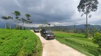 Kehadiran jalan usaha tani di Garut, Jawa Barat, dinilai potensial membantu petani, salah satunya meringankan bebas ongkos kuli panggul yang selama ini cukup membebani petani. (Liputan6.com/Jayadi Supriadin)