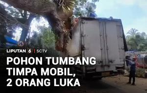 Pohon tumbang menimpa dua mobil di Kabupaten Bogor, Jawa Barat. Musibah ini mengakibatkan dua orang terluka.