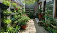 8 Cara Menata Pekarangan agar Menjadi Sumber Pangan Sekaligus Mempercantik Rumah