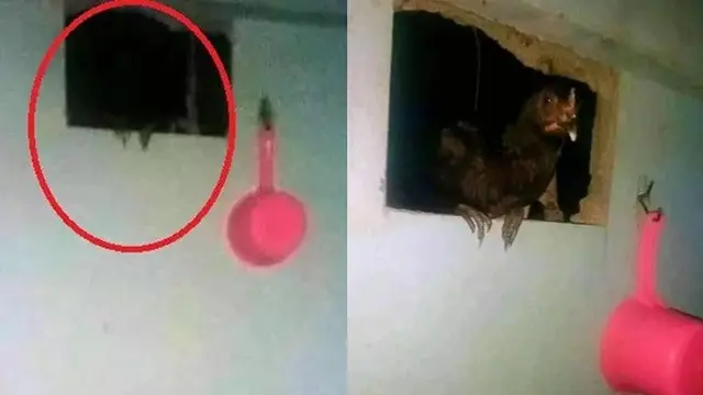 Dikira hantu (Sumber: Facebook/Muhammad Hafizuddin)