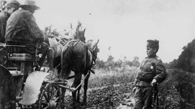 Gavric Momcilo, bocah 8 tahun yang jadi tentara termuda di Perang Dunia I (Wikipedia/Public Domain)