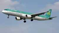 Ilustrasi pesawat maskapai Aer Lingus (Wikipedia)