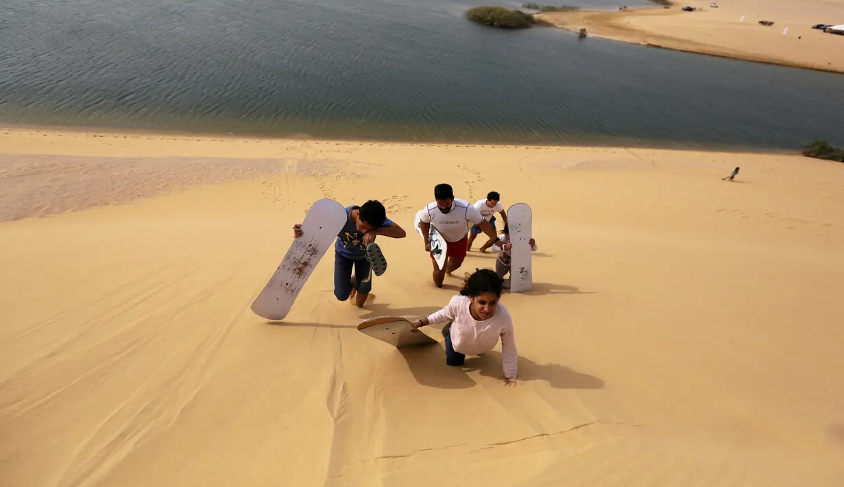 Sejumlah pengunjung menaiki gurun setelah turun berseluncur di gurun pasir Wadi el-Rayan Fayoum, Mesir (18/11). Sandboarding ini hampir sama dengan snowboarding, yang membedakan adalah medannya yakni di pasir. (Reuters/Mohamed Abd El Ghany)
