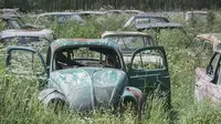 Kuburan mobil di Bastnas Car Cemetery, Swedia, jika dijual bisa bernilai sampai 100 ribu Pound Sterling atau sekitar Rp 1,6 miliar.