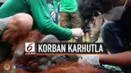 Petugas Balai Konservasi Sumber Daya Alam Kalimantan Barat dan IAR Indonesia menyelamatkan satu individu orang utan korban kebakaran hutan dan lahan di Ketapang, Kalimantan Barat.