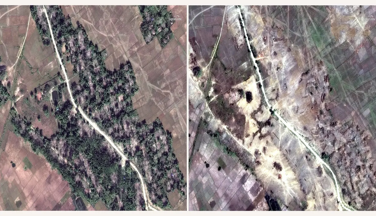 Citra satelit DigitalGlobe pada 20 Desember 2017 (kiri) dan 13 Februari 2018 (kanan) di Desa Myin Hlut, 25 km tenggara Maungdaw, Rakhine, Myanmar. Operasi ini menimbulkan kekhawatiran di kalangan pendukung hak asasi manusia (HAM). (DigitalGlobe via AP)