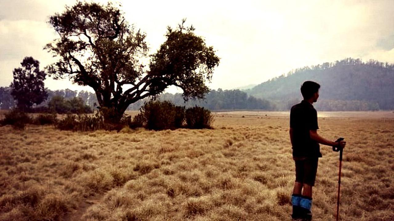 Sabana Kering di Gunung Argopuro Rawan Terbakar, Pendakian Tutup Sementara