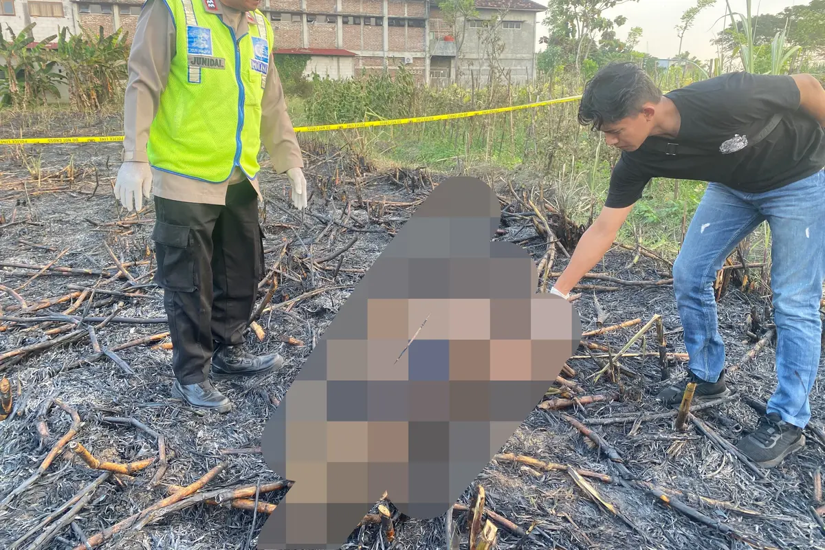 Petani di Pati Tewas Terbakar Hidup hidup saat Membakar Daun Tebu di Sawah