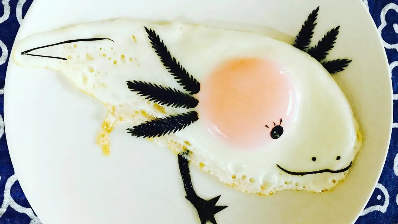 [Bintang] Telur