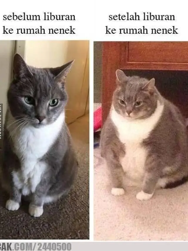 7 Meme Nostalgia Saat Bersama Nenek Ini Bikin Kangen
