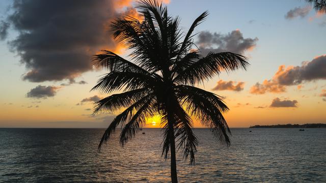 <span>Pemandangan salah satu pantai di Barbados | unsplash.com/@brian_yuri</span>
