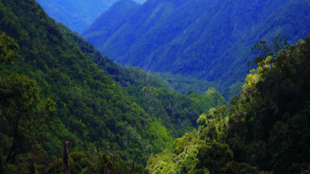[Bintang] Papua