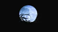 Ilustrasi blue moon, bulan biru. (Photo by Alexandra Vo on Unsplash)