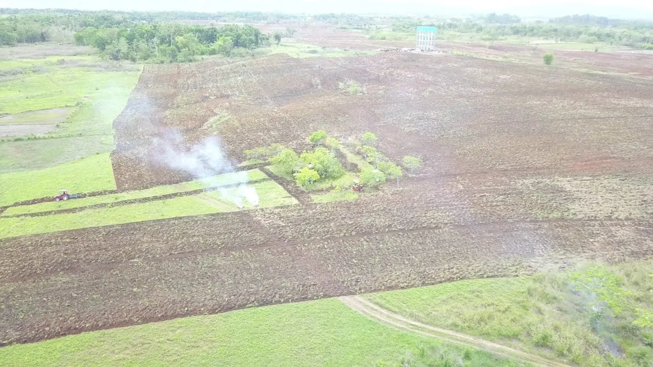 Food Estate