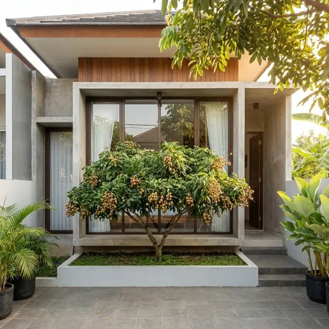 Pohon Kelengkeng Dataran Rendah (Gemini AI)