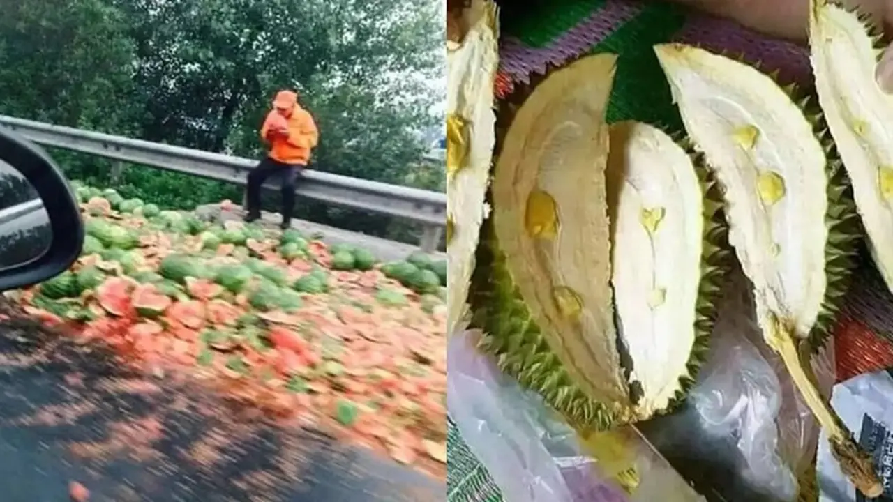 6 Momen Apes Beli Buah, Dari Terjatuh di Jalan Hingga Tak Berisi