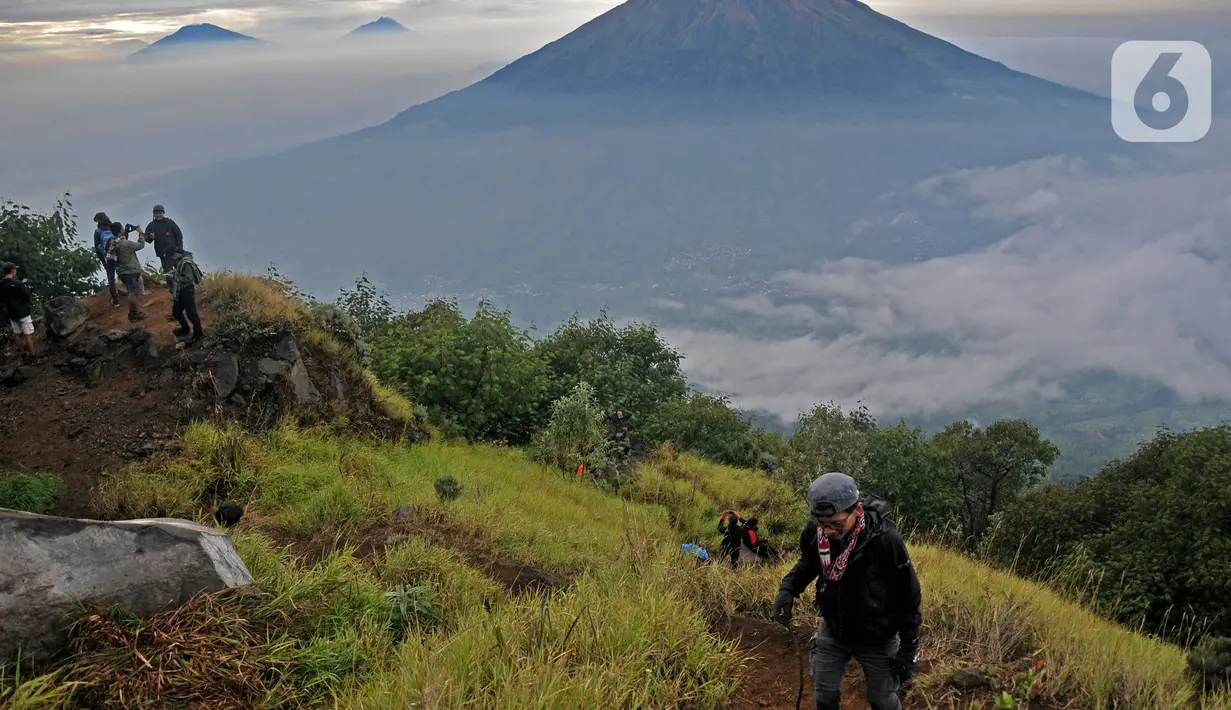 <p>Wisatawan saat melakukan pendakian Gunung Sindoro via Jalur Alang-Alang Sewu, Kertek, Wonosobo, Jawa Tengah, Sabtu (11/9/2021).Wisata pendakian Gunung Sindoro kembali dibuka pasca meredanya kasus Covid-19 di Jawa-Bali yang memasuki PPKM Level 3. (merdeka.com/Iqbal S Nugroho)</p>