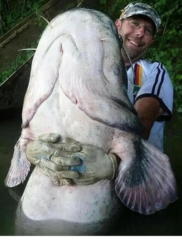 6 Potret Pemancing Dapat Ikan Lebih Besar dari Tubuhnya Ini Bikin Melongo