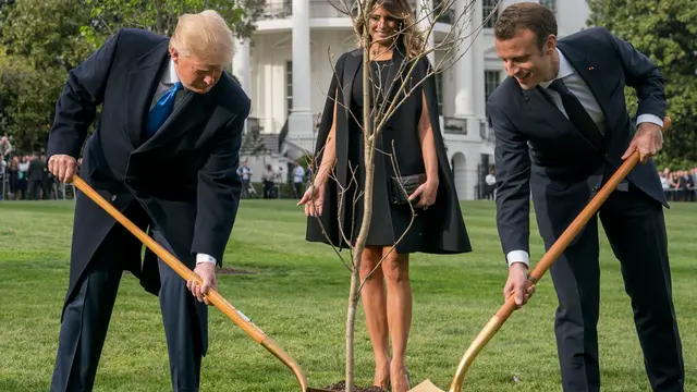 Gaya Donald Trump Saat Tanam Pohon Pemberian Presiden Prancis