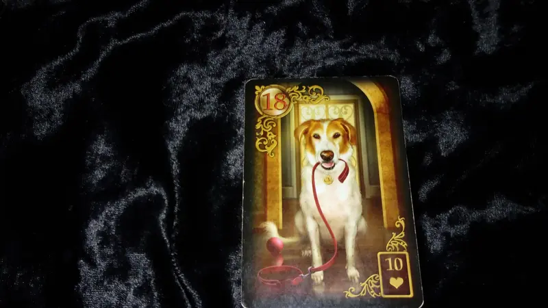 Tarot Hari Ini, Rabu, 5 Juni 2018 (Foto: Elisabet Kusumodewi)