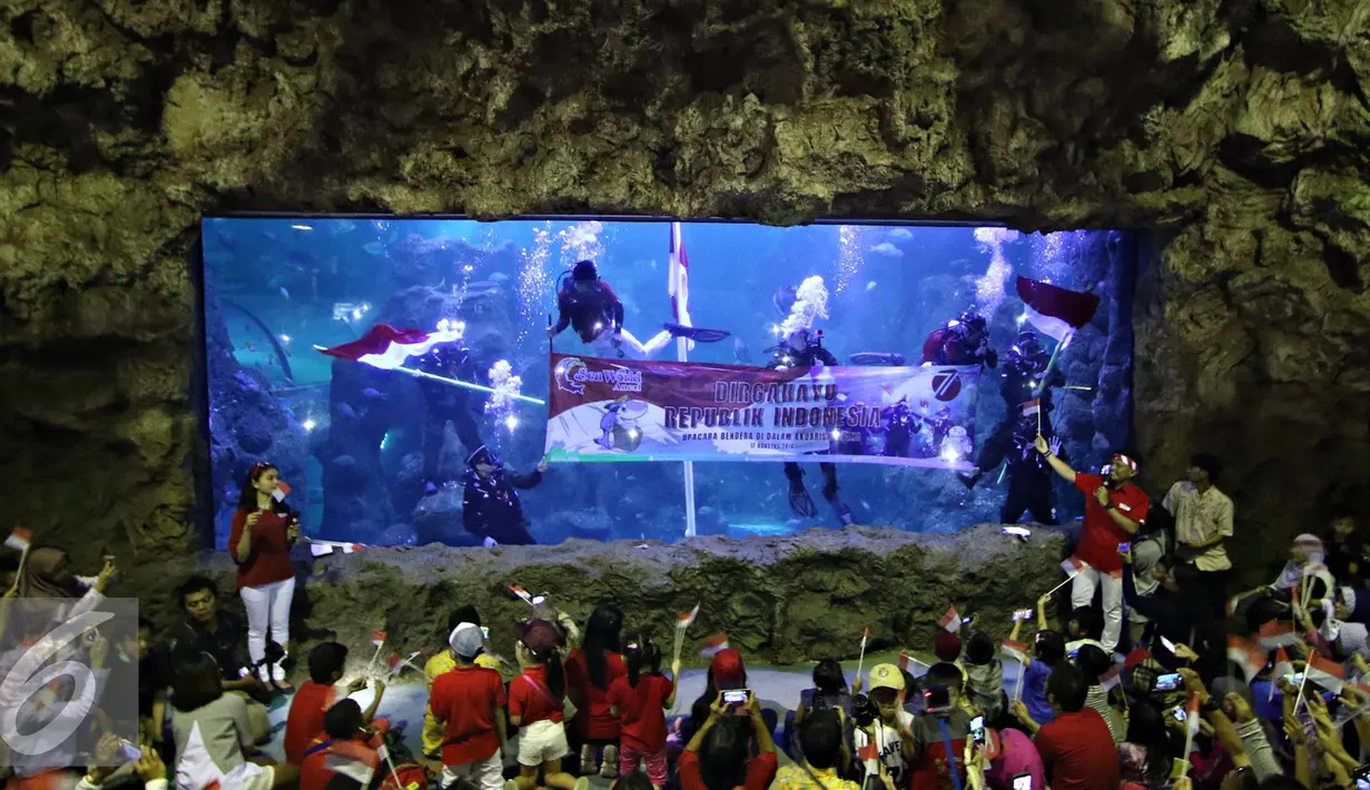 Sebuah spanduk berisi ucapan selamat HUT RI ke-71 dibentangkan di dalam akuarium utama SeaWorld Ancol, Jakarta, Rabu (17/8). Kegiatan tersebut diadakan dalam rangka memperingati HUT RI ke-71. (Liputan6.com/Immanuel Antonius)