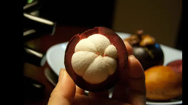 Foto: copyright list25.com