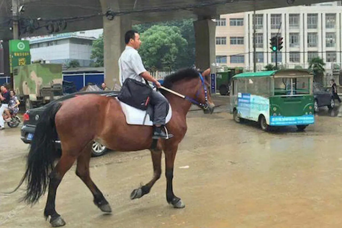 Macet Lalin Buat Pria Ini Jadikan Kuda Sebagai Kendaraan ke Kanto